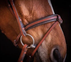 PÉNÉLOPE Pénélope US Bridle -Equine Worlds us bridle hazelnut noseband side 301 602 318 penelope 05577.1688760560