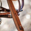 PÉNÉLOPE Pénélope US Laced Reins -Equine Worlds us laced reins buckle hazelnut 301 636 317 penelope 40935.1688761766