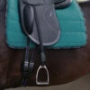 Passier Velvet Touch Mono Stirrup Leathers -Equine Worlds velvet touch mono leather saddle 030 passier 36176.1684543409