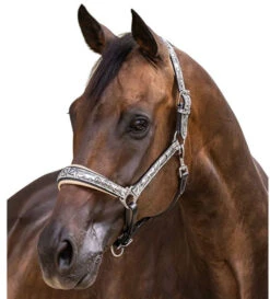 Halter Ego Venetian Floral Halter -Equine Worlds venetian floral halter slvr crm halter ego 46536.1682705257