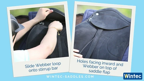 Wintec Webbers 4 Wintec Webbers - Image 2